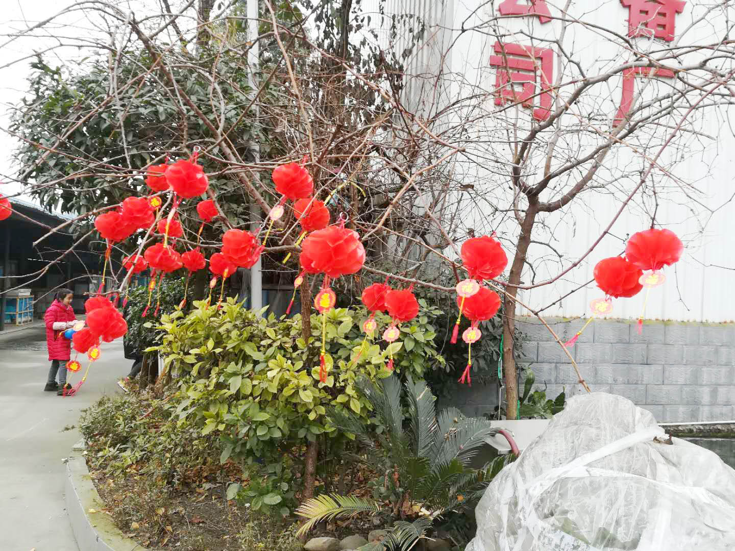 四川叼嘿软件大全叼嘿软件下载大全設備公司年會4