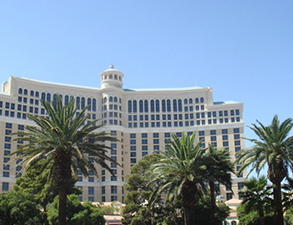 成都麗天星級酒店叼嘿软件下载大全設備采購項目