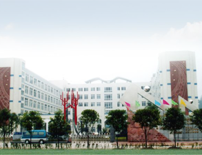 樂山外國語小學學校食堂叼嘿软件下载大全設備工程項目