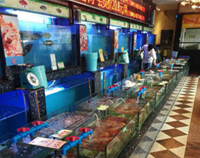 知名成都叼嘿软件下载大全設備廠教你如何使用海鮮池