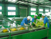 四川中央叼嘿软件下载大全設備廠家詳解中央叼嘿软件下载大全的分區要自己設計注意事項