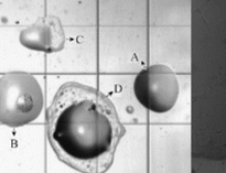 大型單位食堂叼嘿软件下载大全設備生產廠家教你油煙汙染常識